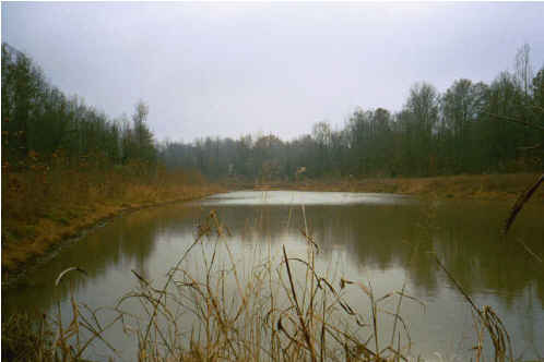 Lagoon--typical lagoon; looking south from gravel road