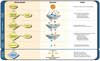 Process for Selecting Contaminants of Potential Health Concern