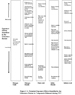 Figure C-1: Potential Exposure Effects Identified in teh Literature Review to Compounds Released during TNT