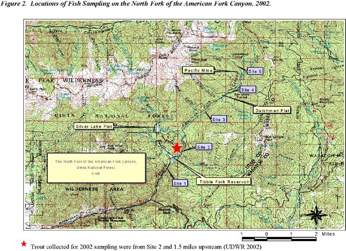 ATSDRPHAHCAmerican Fork Canyon/Uinta National Forestp1