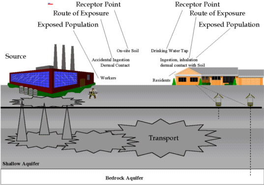 pathway analysis diagram