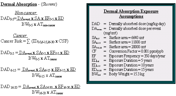 Dermal Absorption and Dermal Absorption Exposure Assumptions