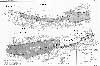 Downriver area of the Byram River. Because this map is from an Army Corps of Engineers report on the 1955 flood, there are differences in street names and the level of development as compared to today. Sectors are those referred to in the text.