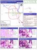 Demographic Statistics