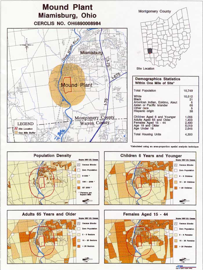 Demographic Statistics