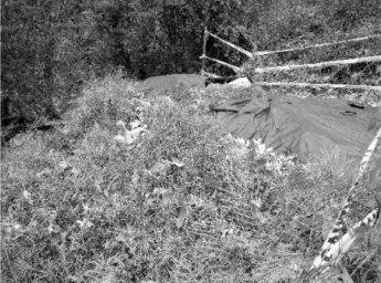West Side of Site