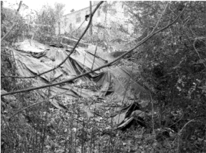East Side of Site looking North