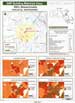 Demographic Statistics