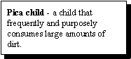 Pica child - a child that frequently and purposely consumes large amounts of dirt.