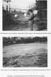Site Photographs Showing Key Features
