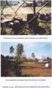 Site Photographs Showing Key Features