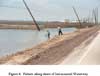 Fishers along shore of Intracostal Waterway