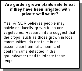 Are garden-grown plants safe to eat if they have been irrigated with private well water?: Yes. ATSDR believes people may safely eat locally-grown fruits and vegetables. Research data suggest that the crops, such as those grown in local communities, do not take in or accumulate harmful amounts of contaminants detected in the groundwater used to irrigate these crops.
