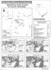 Demographic Statistics