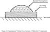 Diagrammatic Vertical Cross-Section of 'Hydroshot' Components
