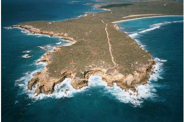 Picture 7. Punta Este Conservation Zone