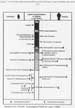 Lowest Observable Adverse Effects Levels of Inorganic Lead on Children and Adults
