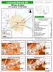 Demographic Statistics