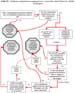 Sediment contaminant screening process for Lower Duwamish Waterway fish, Seattle, Washington