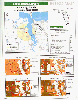 Figure 2. Demographic Information