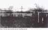 On-site duck pond and surrounding marsh