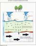 Conceptual Groundwater Flow Model