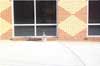 Photo of SUMMA canister sampling outside at Downtown School