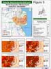 Demographic Statistics
