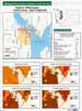Demographic Statistics