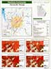 Demographic Statistics