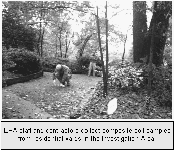 EPA staff and contractors collect composite soil samples from residential yards in the Investigation Area.