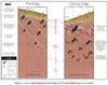 Cross-sectional Diagram of Pine Ridge and Chestnut Ridge in the Y-12 Vicinity