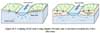 Gaining (Left) and Losing (Right) Streams and Associated Groundwater Flow Direction