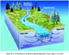 Groundwater System Involving the Hyporheic Zones (Alley et. al 2002)