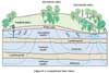 Groundwater Flow Times