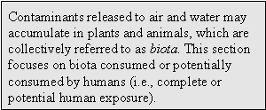 Contaminants released to air and water may accumulate in plants and animals, which are collectively reffered to as biota. This section focuses on biota consumed or potentially consumed by humans (i.e., complete or potential human exposure).