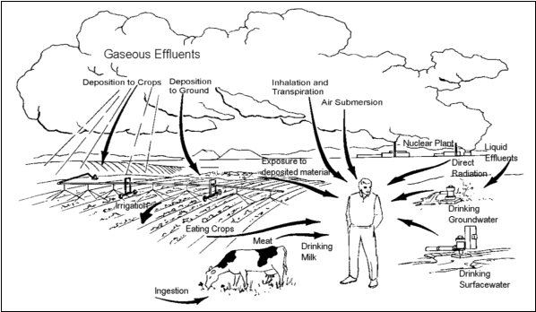 Pathways to exposure from contamination