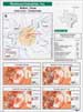 Demographic Statistics