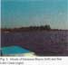 Mouth of Molasses Bayou and Star Lake Canal