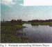 Wetlands surrounding Molasses Bayou