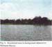 Residential area in background adjacent to Molasses Bayou