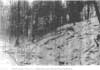 Conservation Land adjacent to the Assabet River