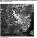 Approximate Locations of Housing Areas (Demolished in 2001), St. Juliens Creek Annex, Chesapeake, Virginia