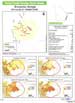 Demographic Statistics