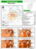 Demographic Statistics