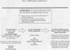 ATSDR's Exposure Evaluation Process