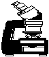 microscope