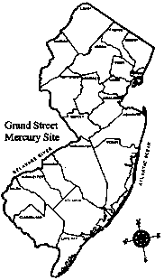 Figure 1. The Grand Street Mercury Site