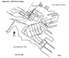 Figure B-3. HPA Street Map