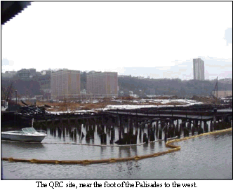 Photograph of the QRC site, near the foot of the Palisades to the west